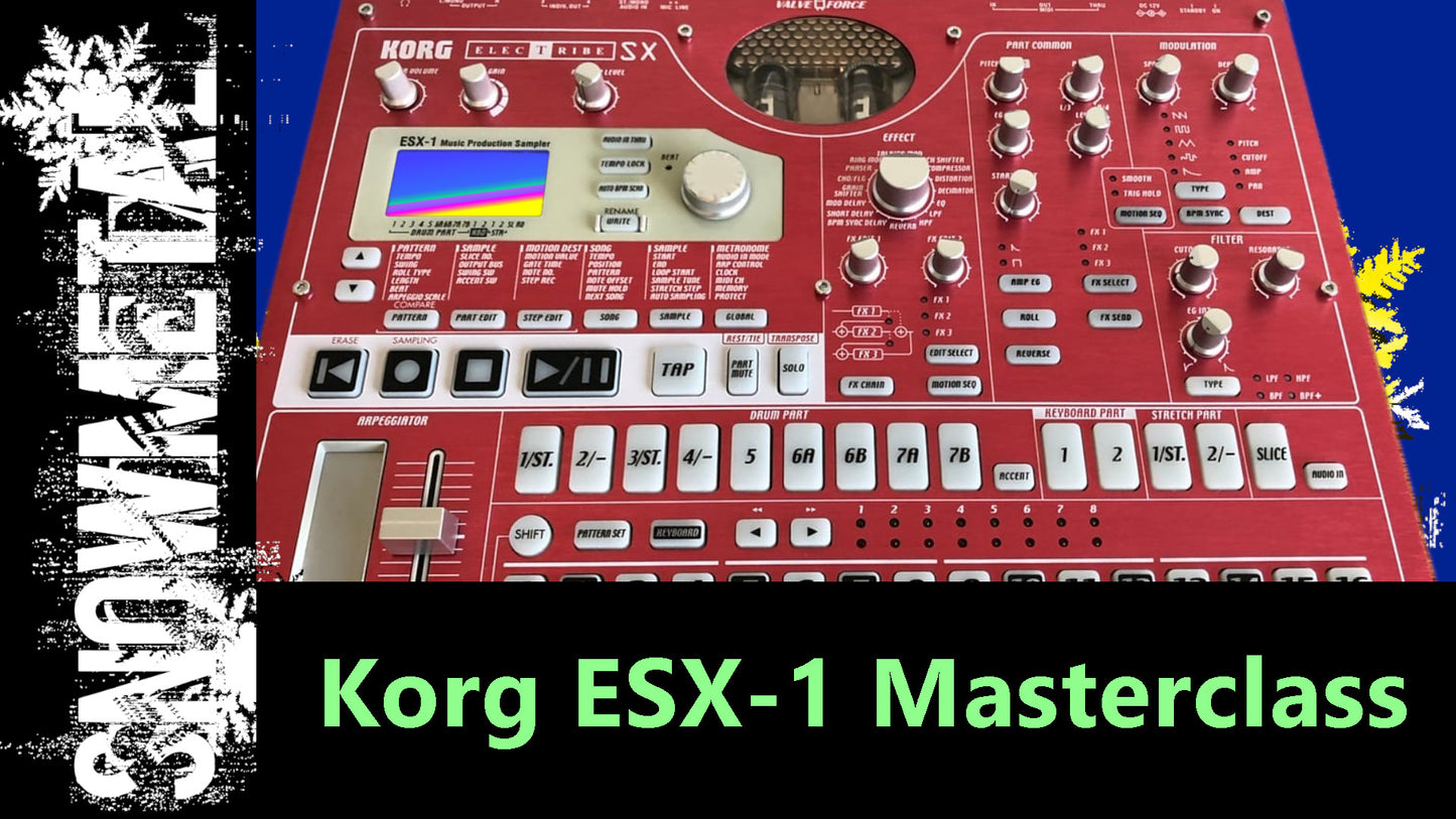 Korg ESX Masterclass! .. 3 Hours of Video Training