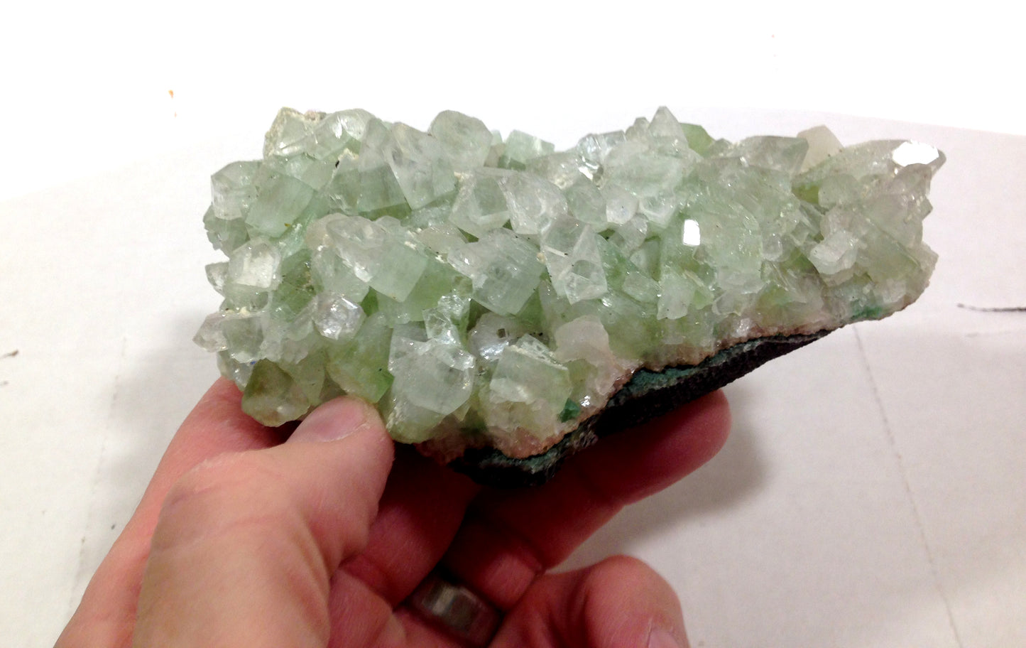 Natural GREEN Apophyllite Cluster on Matrix LARGE Crystal Mineral Specimen