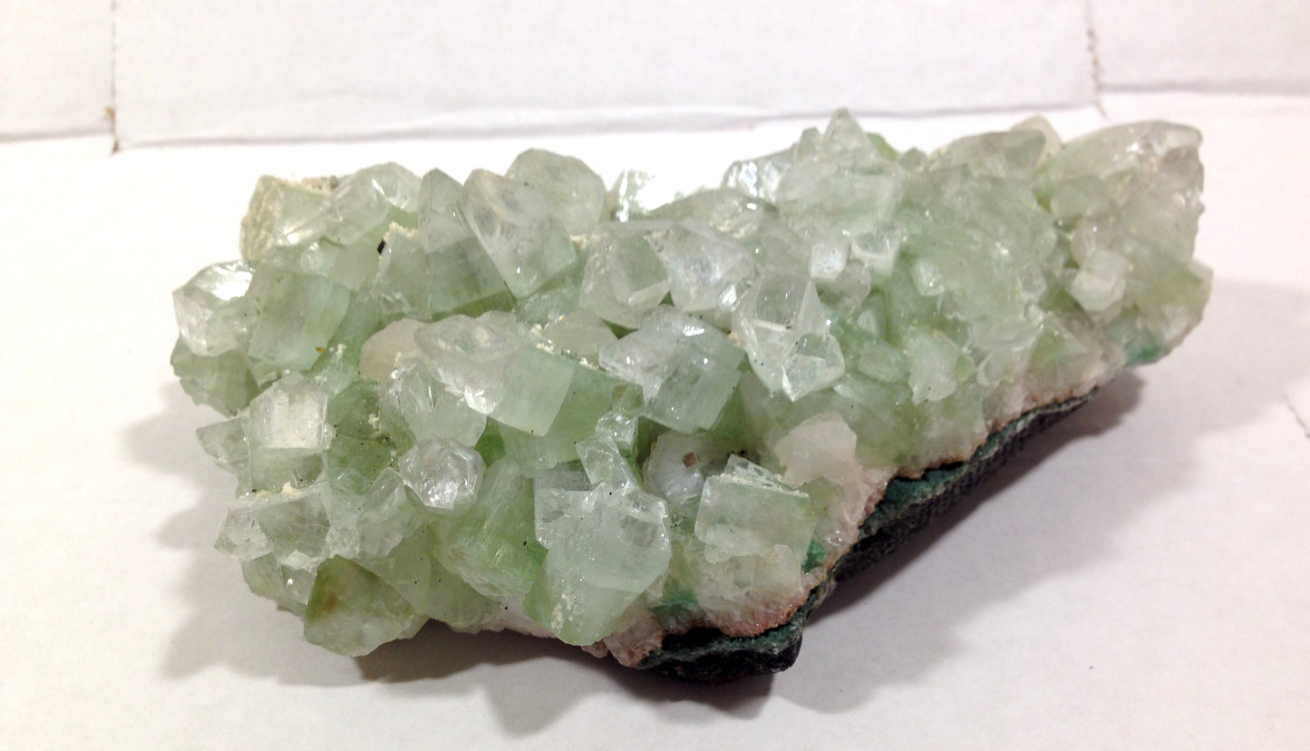Natural GREEN Apophyllite Cluster on Matrix LARGE Crystal Mineral Specimen